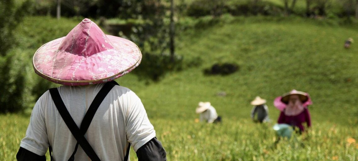 Looking After the Labourers on the Land